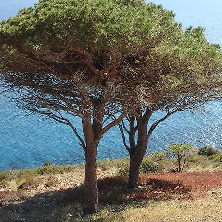 Casa Fiorella *